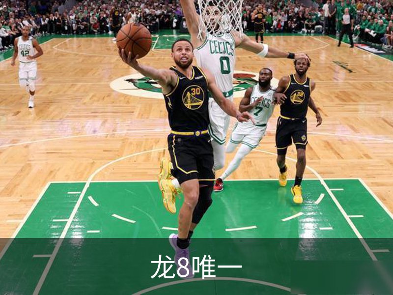 龙8唯一概况